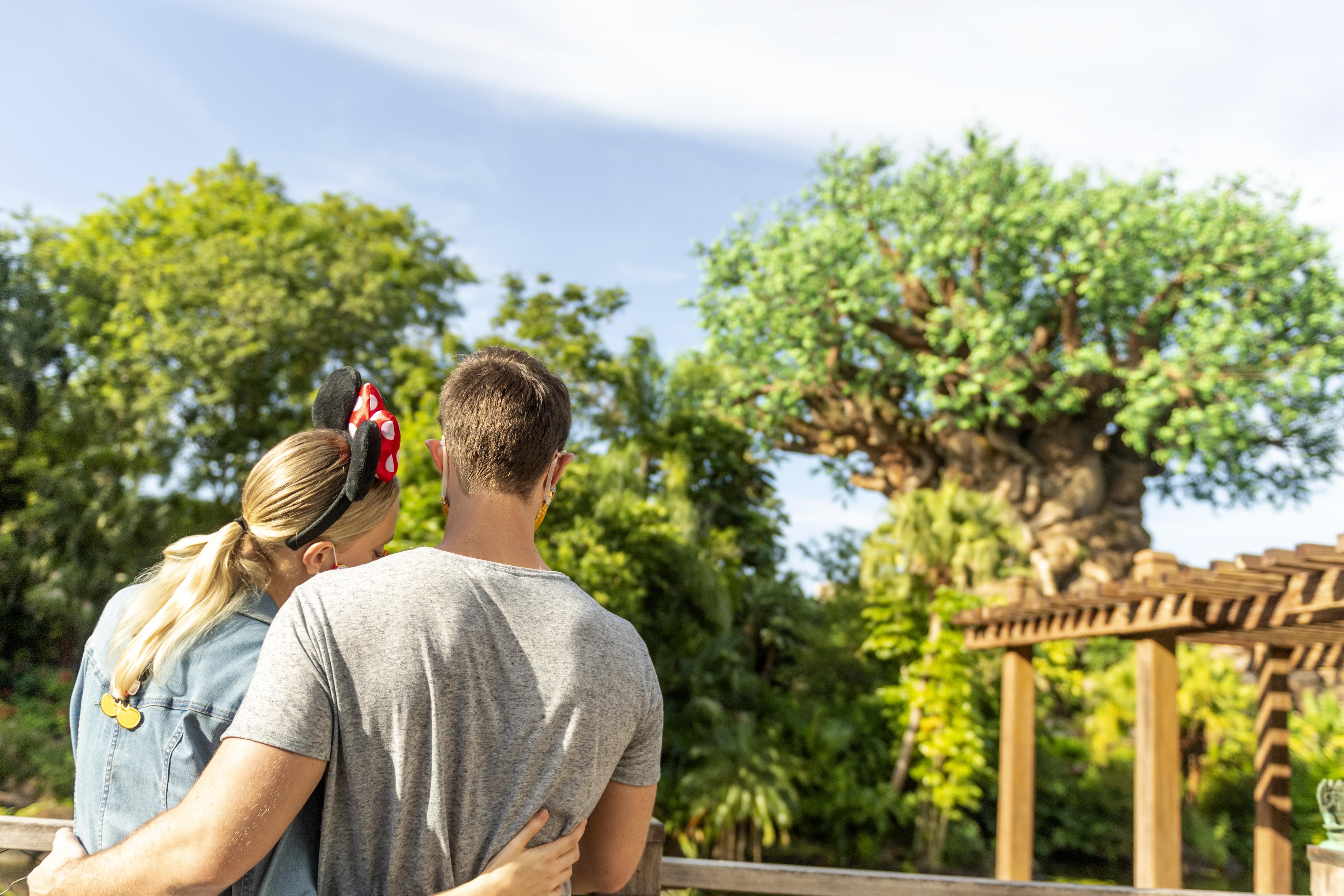 Boulder Ridge Villas At Disney'S Wilderness Lodge Lake Buena Vista Buitenkant foto